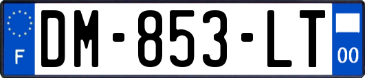 DM-853-LT