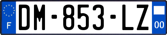 DM-853-LZ