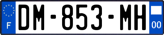DM-853-MH