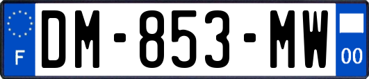 DM-853-MW