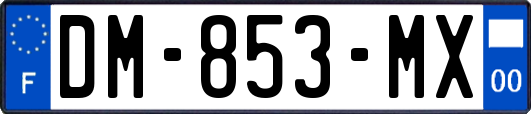 DM-853-MX