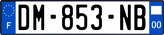 DM-853-NB
