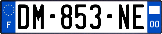 DM-853-NE