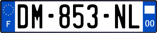DM-853-NL