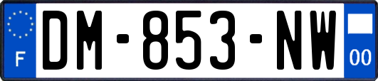 DM-853-NW