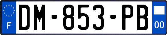 DM-853-PB
