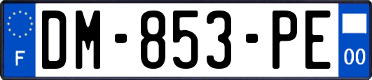 DM-853-PE