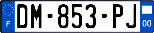DM-853-PJ