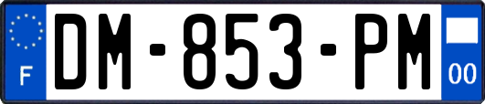 DM-853-PM