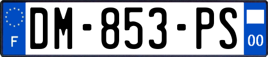 DM-853-PS