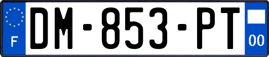 DM-853-PT