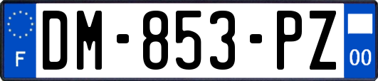 DM-853-PZ