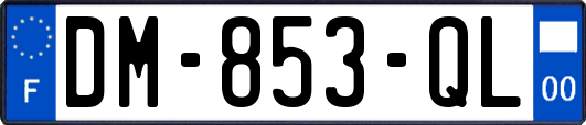 DM-853-QL