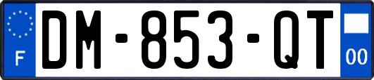 DM-853-QT