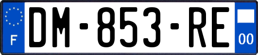 DM-853-RE