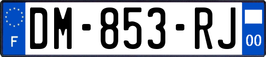 DM-853-RJ