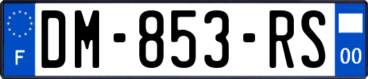 DM-853-RS