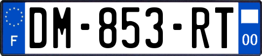 DM-853-RT