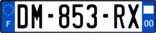 DM-853-RX