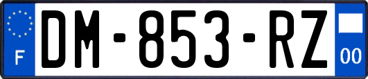 DM-853-RZ