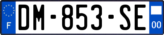 DM-853-SE