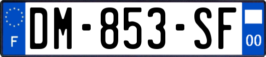 DM-853-SF