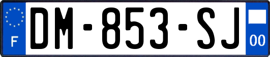 DM-853-SJ