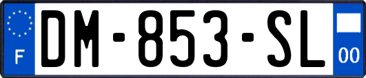 DM-853-SL