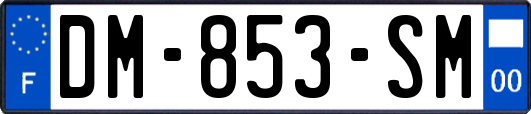 DM-853-SM