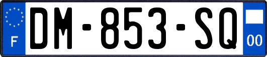 DM-853-SQ