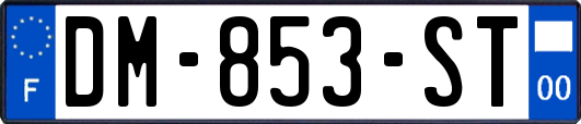 DM-853-ST