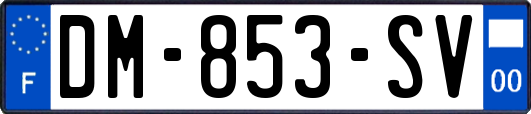 DM-853-SV