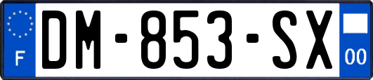 DM-853-SX