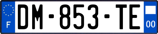 DM-853-TE