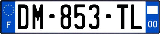 DM-853-TL