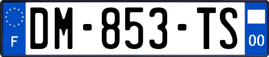 DM-853-TS