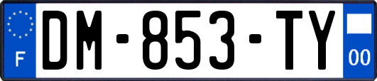 DM-853-TY