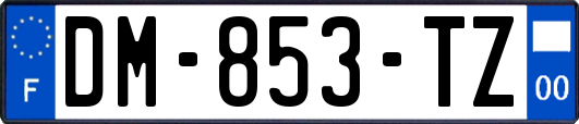 DM-853-TZ