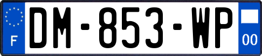 DM-853-WP