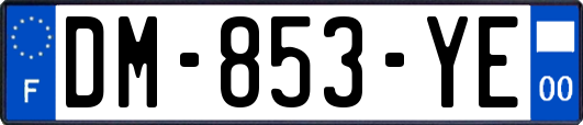 DM-853-YE