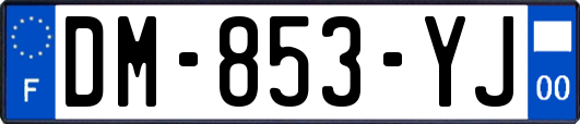 DM-853-YJ