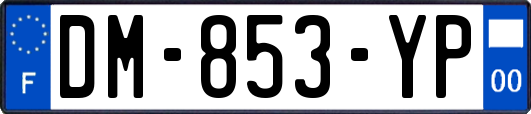 DM-853-YP