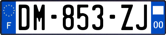 DM-853-ZJ