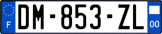 DM-853-ZL