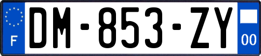 DM-853-ZY