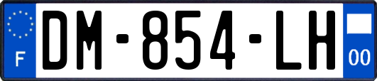 DM-854-LH