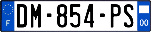 DM-854-PS
