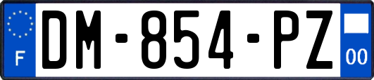 DM-854-PZ