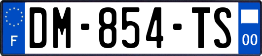 DM-854-TS