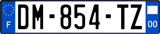 DM-854-TZ